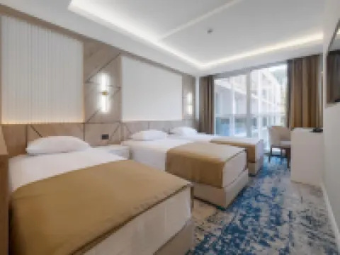 Hotel Tara Becici Hotels in Boreti