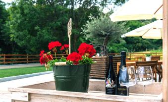 Agriturismo Agli Ulivi