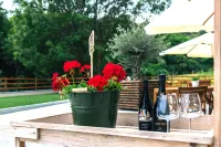Agriturismo Agli Ulivi Hotels in Busca