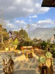Dinh Sapa Trekking & Homestay