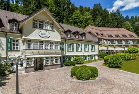 Waldhotel Bad Sulzburg Отели в г. Мюнстерталь