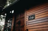 The Jungle Touch