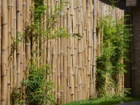 Lome Bamboo Lodge Hotels in Lome
