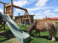 Big Bear Motel Hotels in Cody