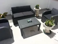 Lemon Tree Apartments - Pet friendly