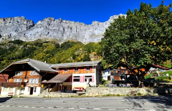 加德門阿爾卑斯玫瑰瑞士