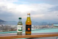 Hotel Hanajyukai - Mountain view