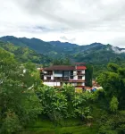Coffee Tree Boutique Hostel Hotels in 