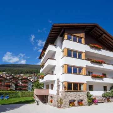 B&B Villa Angelino Отели рядом с достопримечательностью «Museum de Gherdeina»