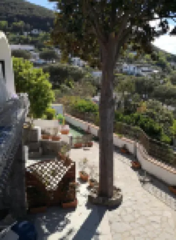 Hotel Myage Hoteles en 