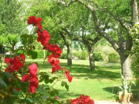 Villa Mustafà Отели в г. Marcellano