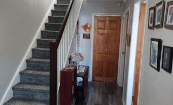 Homely Wee House