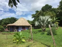 Finca del Sol Eco Lodge - Alojamientos