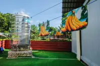 Banana Bar San Juan Family Digital Nomad Stay Starlink Fast WiFi Solar Backup