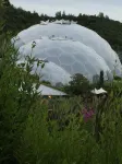 Vine Cottage