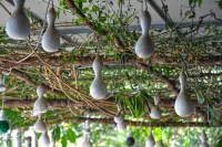 Il Barilotto Hotels in Laurito