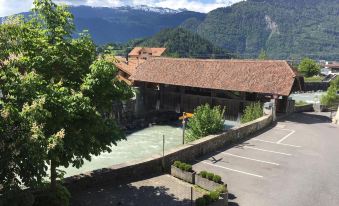 Historic Hotel Steinbock
