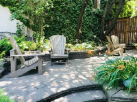 ダンシング ベア イン ホステル ネルソンのホテル