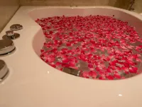 Hotel Grand Ajantha Hotels in Kottayam