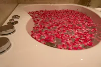 Hotel Grand Ajantha Hotels in Thiruvalla