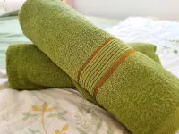 Lunas Kulim Hi Tech BKE Q Comfort
