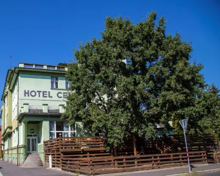 Wellness Hotel Central Отели в г. Kolinec