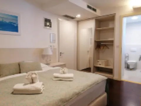 Hotel Borovnik