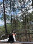 Tres Lunas Domo - Mountain view