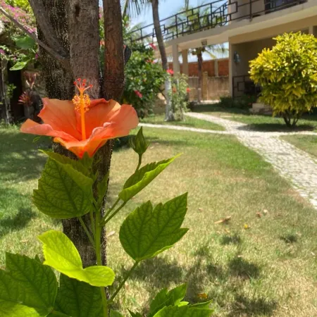 Pousada Aruana