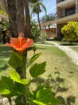 Pousada Aruana