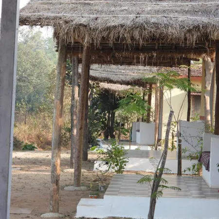 Home in the Jungle Pench