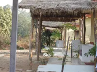 Home in the Jungle Pench