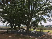 Mcbest Guest House Hotels in Ermelo