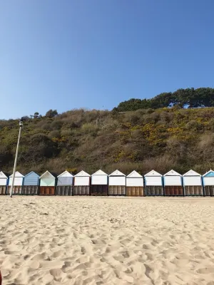 Ferndown Holiday Let Hotels near Baskets and Blooms Plant Centre and Blooms Cafe