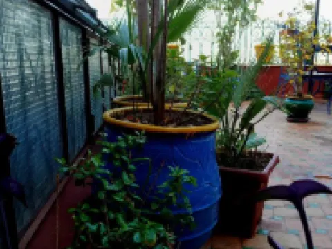 リヤド イドリッシ メクネスのホテル