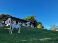 Tenuta Valdomini - Farmhouses