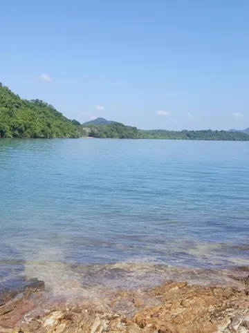 รูปภาพของโฮมนัมเบอร์ไนท์