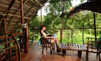 Back of Beyond - Wild Haven