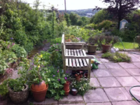 Vine Cottage Hotels in Par