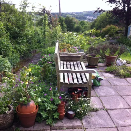 Vine Cottage