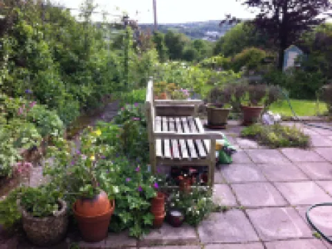 Vine Cottage