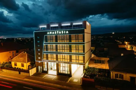 Hotel Anastasia Отели в г. Avrig
