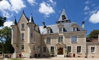 Chateau de Bellevue B&B et Appartements Avec Piscine chauffée et Chambres Partout climatisées