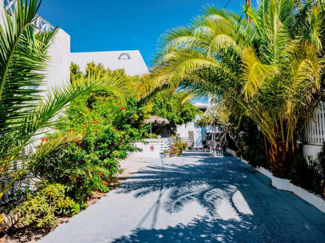 Kamarela Studios - Santorini