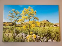 ArcoLoBello B&B ApartHotel Hotels in Corato