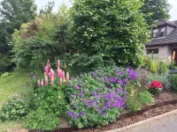 Deveron Lodge B B Guest House Hotels in 