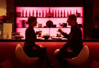 Sälens Högfjällshotell - bar