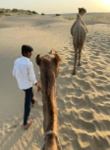 Kings Villa Jaisalmer