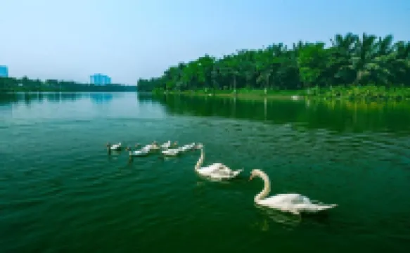 Capsule Eco Park