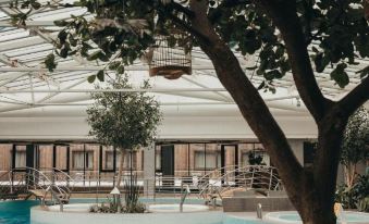 V Spa & Conference Hotel